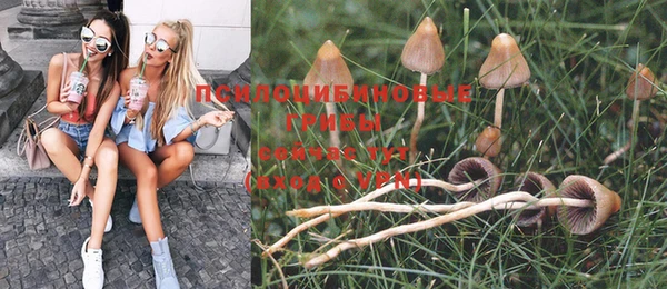 экстази Козловка