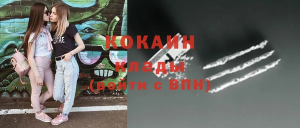 тгк Инта