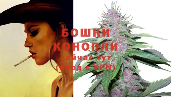 spice Иннополис