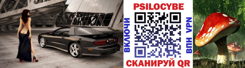 Псилоцибиновые грибы прущие грибы  Купить  Каргат 